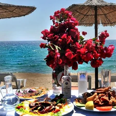 Aggelos Lägenhetshotell Toroni